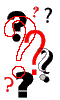  Questions 
